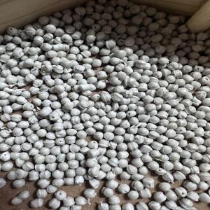 LDPE GRY REPROCESS GRANULE LDPE Reprocess Granule Film Grade kolkata west bengal india Plastic4trade