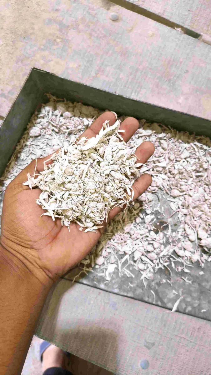 LDPE LDPE Agglo Film Grade kuvadva gujarat india Plastic4trade