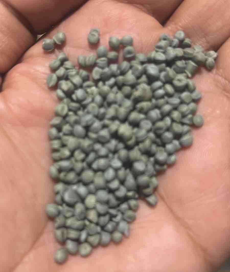 LDPE LDPE Reprocess Granule Injection Molding mumbai maharashtra india Plastic4trade
