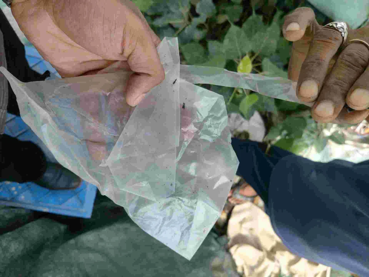 LDPE LDPE Scrap Mix Scrap faridabad haryana india Plastic4trade