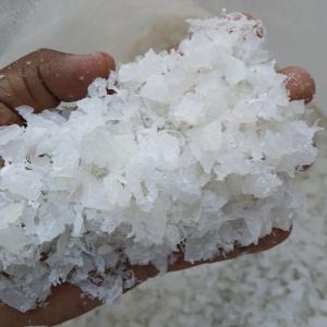 LDPE NATURAL GRINDING LDPE Grinding Film Grade gandhidham gujarat india Plastic4trade