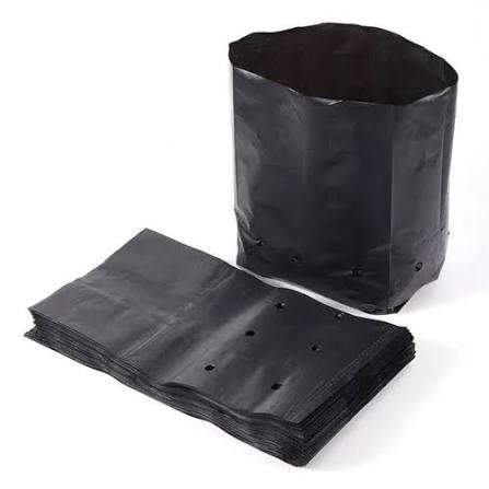 LDPE NURSERY BAG LDPE Finish Goods Film Grade mysore division karnataka india Plastic4trade