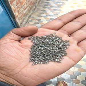 LDPE RECYCLED GRANULES LDPE Reprocess Granule Film Grade new delhi delhi india Plastic4trade