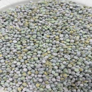 HDPE  REPROCESSED GRANULES HDPE Reprocess Granule Mix Scrap los angeles california united states Plastic4trade