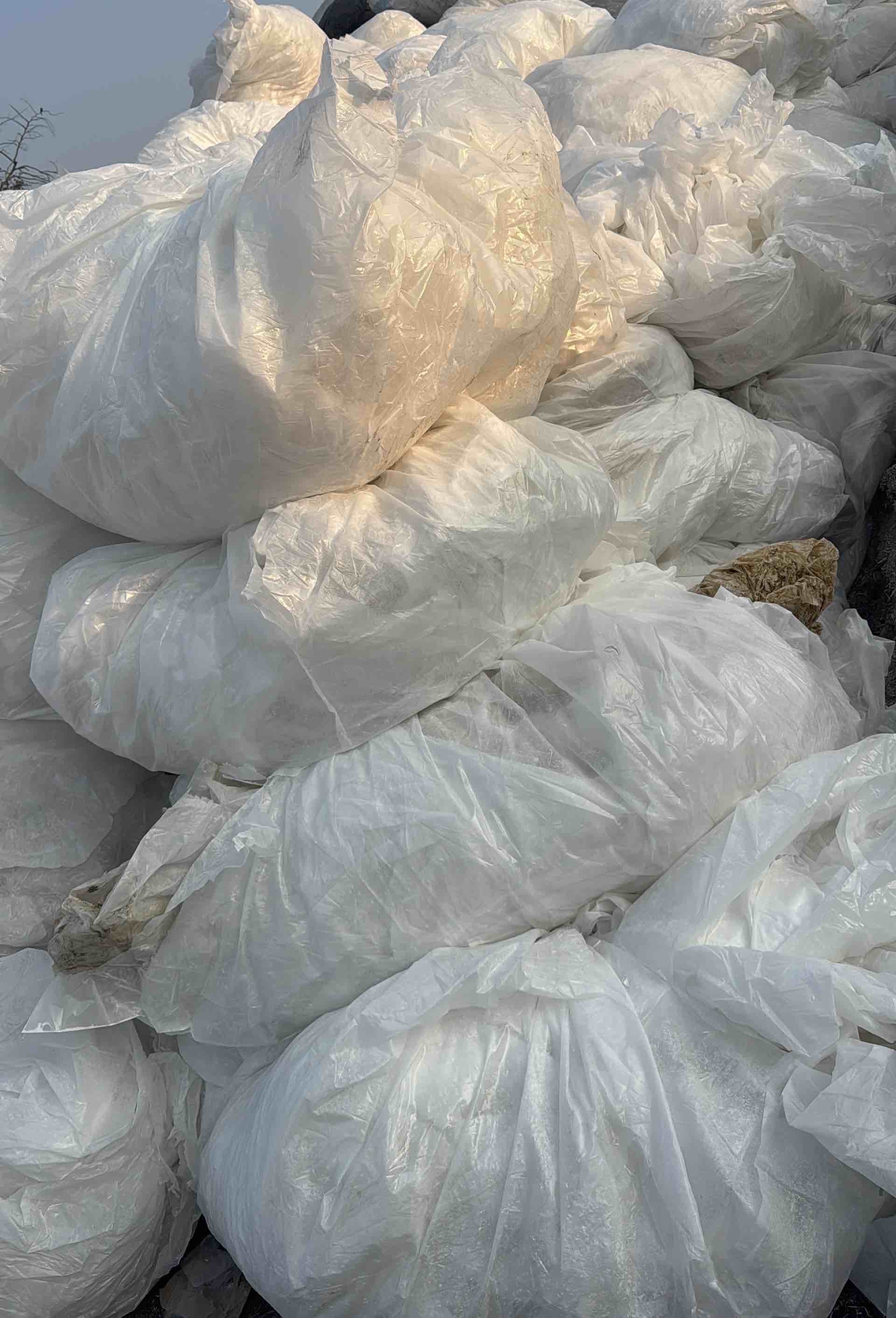 LDPE SCARP LDPE Scrap Film Grade paladi maharashtra india Plastic4trade