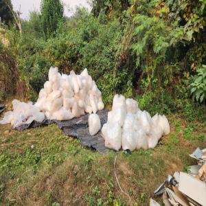 LDPE SCRAP FILM LDPE Scrap Film Grade chhan rorian undefined undefined Plastic4trade