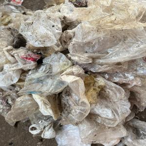 LDPE SCRAP LDPE Scrap Film Grade pune maharashtra india Plastic4trade