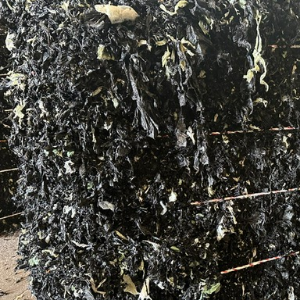 LDPE WASHED LDPE Baled Film Grade darlington england united kingdom Plastic4trade Plastic4trade