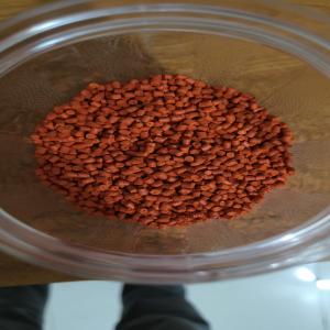 MASTER BACH ORANGE MASTERBATCH Masterbatch Blow Injection Molding Film Grade morbi gujarat india Plastic4trade