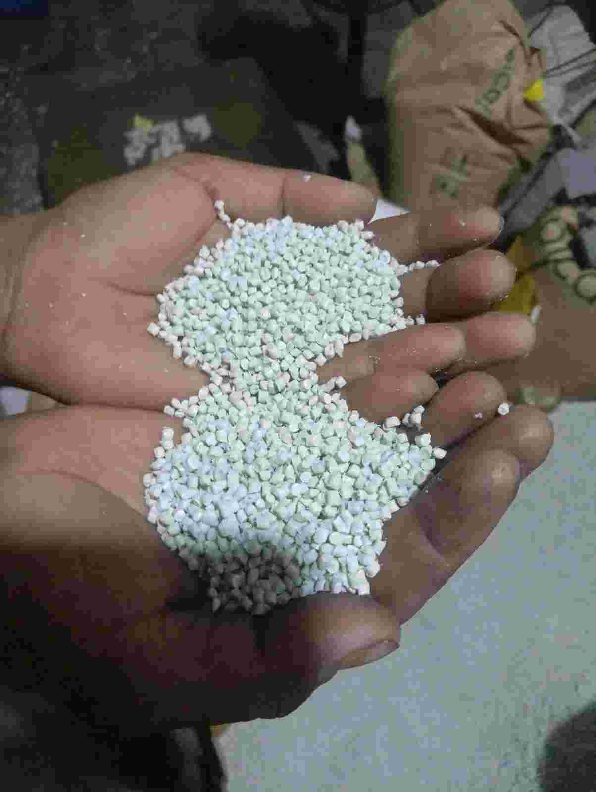 MILKY PP GRANULES PP Reprocess Granule Injection Molding ulhasnagar maharashtra india Plastic4trade