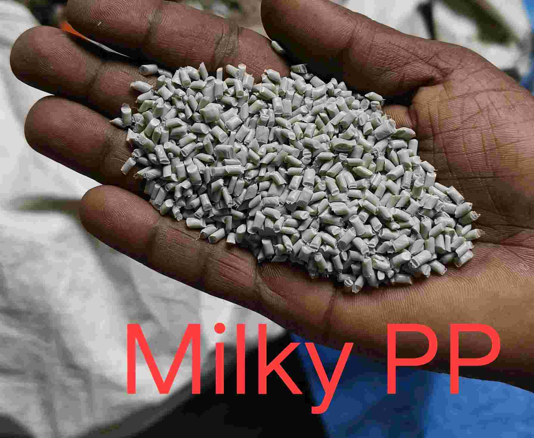 MILKY PP PP Reprocess Granule Injection Molding kolkata west bengal india Plastic4trade
