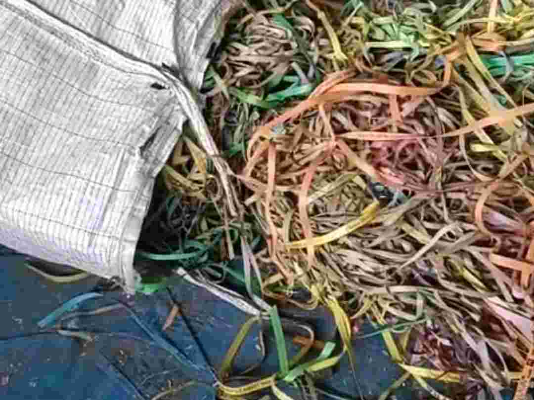 MIX PET PATTI SCRAP PET Grinding Film Grade malegaon maharashtra india Plastic4trade