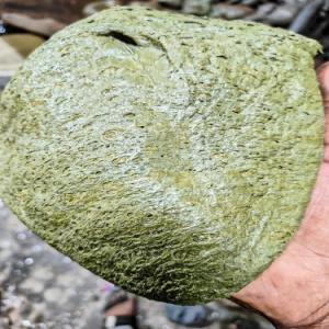 MLP LUMP MLP Lumps Injection Molding bengaluru karnataka india Plastic4trade