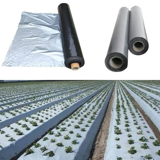 MULCH FLIM LLDPE Rolls Finish Goods Blow nashik maharashtra india Plastic4trade