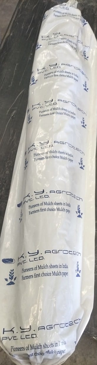 MULCHING FILM PEPAR LLDPE Finish Goods Film Grade dhule maharashtra india Plastic4trade