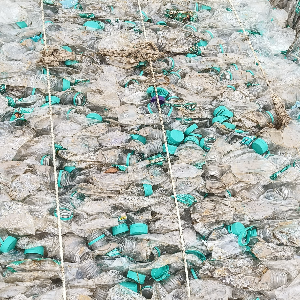 NATURAL PET BOTTLE SCRAP PET Scrap Mix Scrap delhi delhi india Plastic4trade