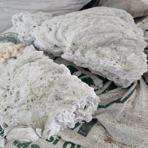 NATURAL PET LUMPS PET Lumps Blow morbi gujarat india Plastic4trade