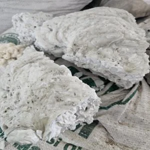 NATURAL PET LUMPS PET Lumps Blow morbi gujarat india Plastic4trade