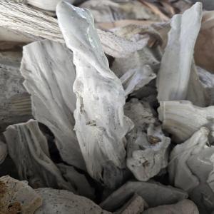 NATURAL PET LUMPS PET Lumps Blow morbi gujarat india Plastic4trade Plastic4trade