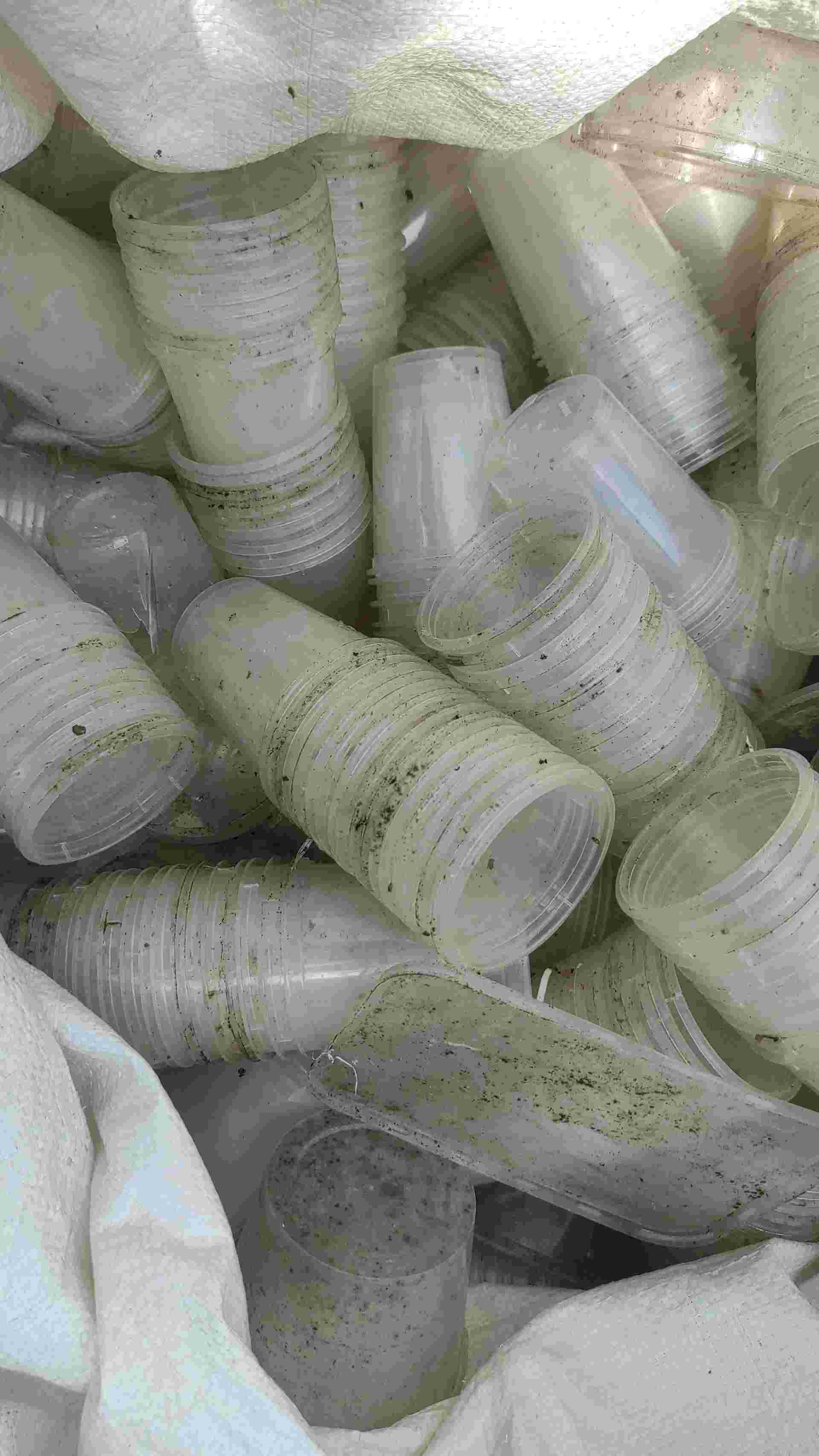 NATURAL PP CHIPS PP Grinding Injection Molding nagapattinam tamil nadu india Plastic4trade