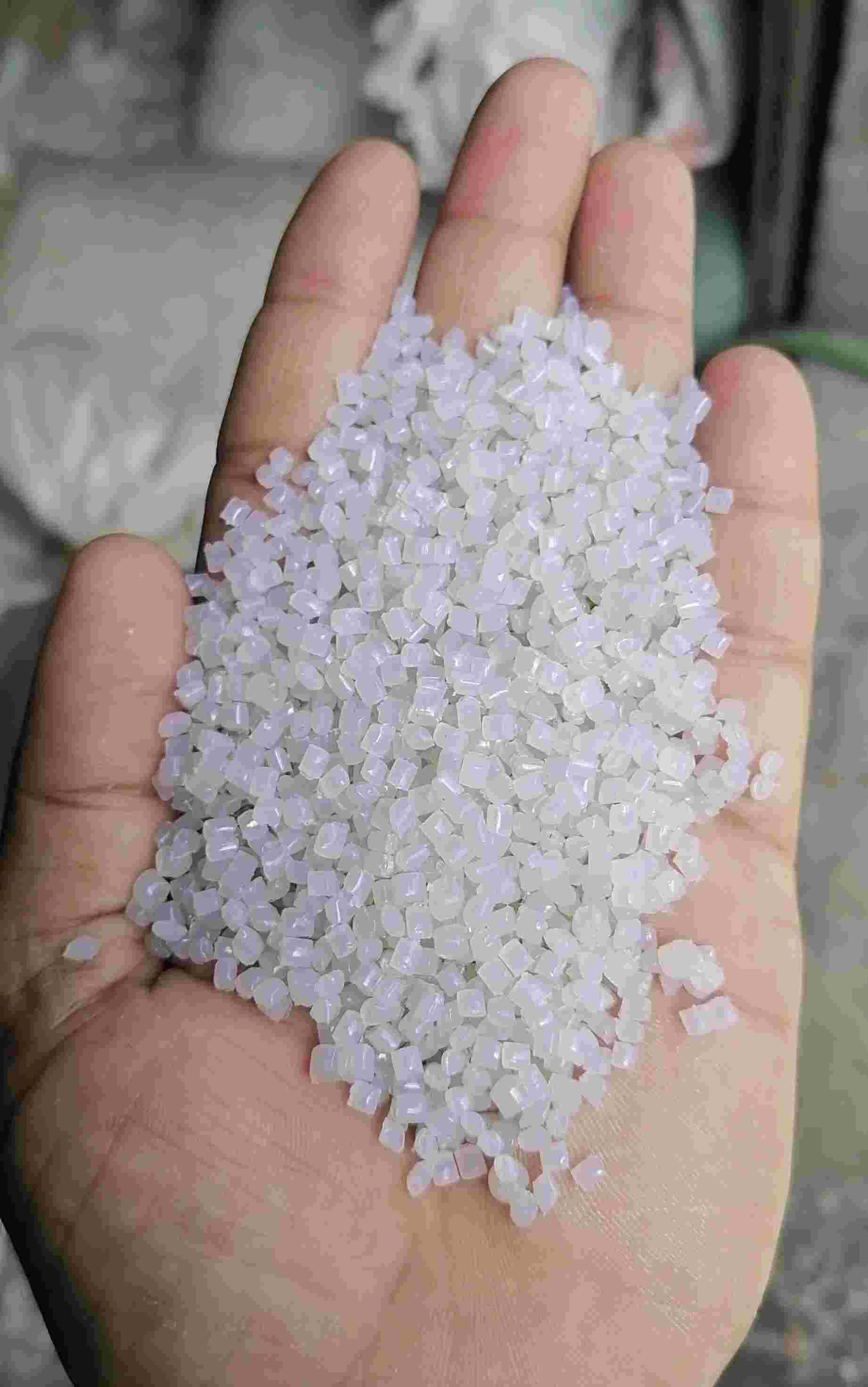 NATURAL PP GRANULE PP Reprocess Granule Injection Molding ulhasnagar maharashtra india Plastic4trade