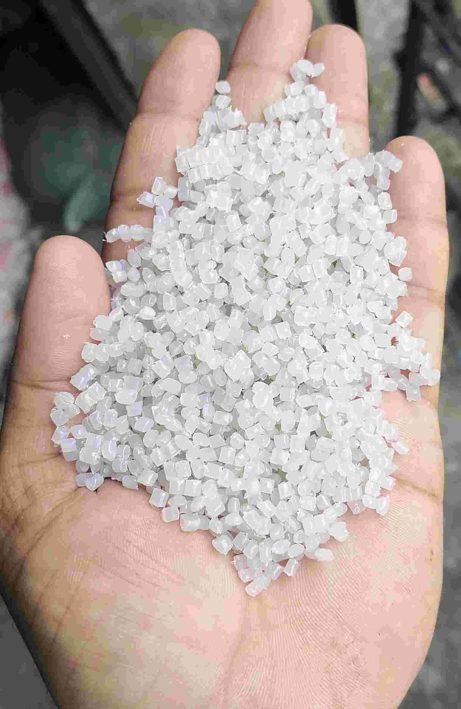 NATURAL PP GRANULE PP Reprocess Granule Injection Molding ulhasnagar maharashtra india Plastic4trade