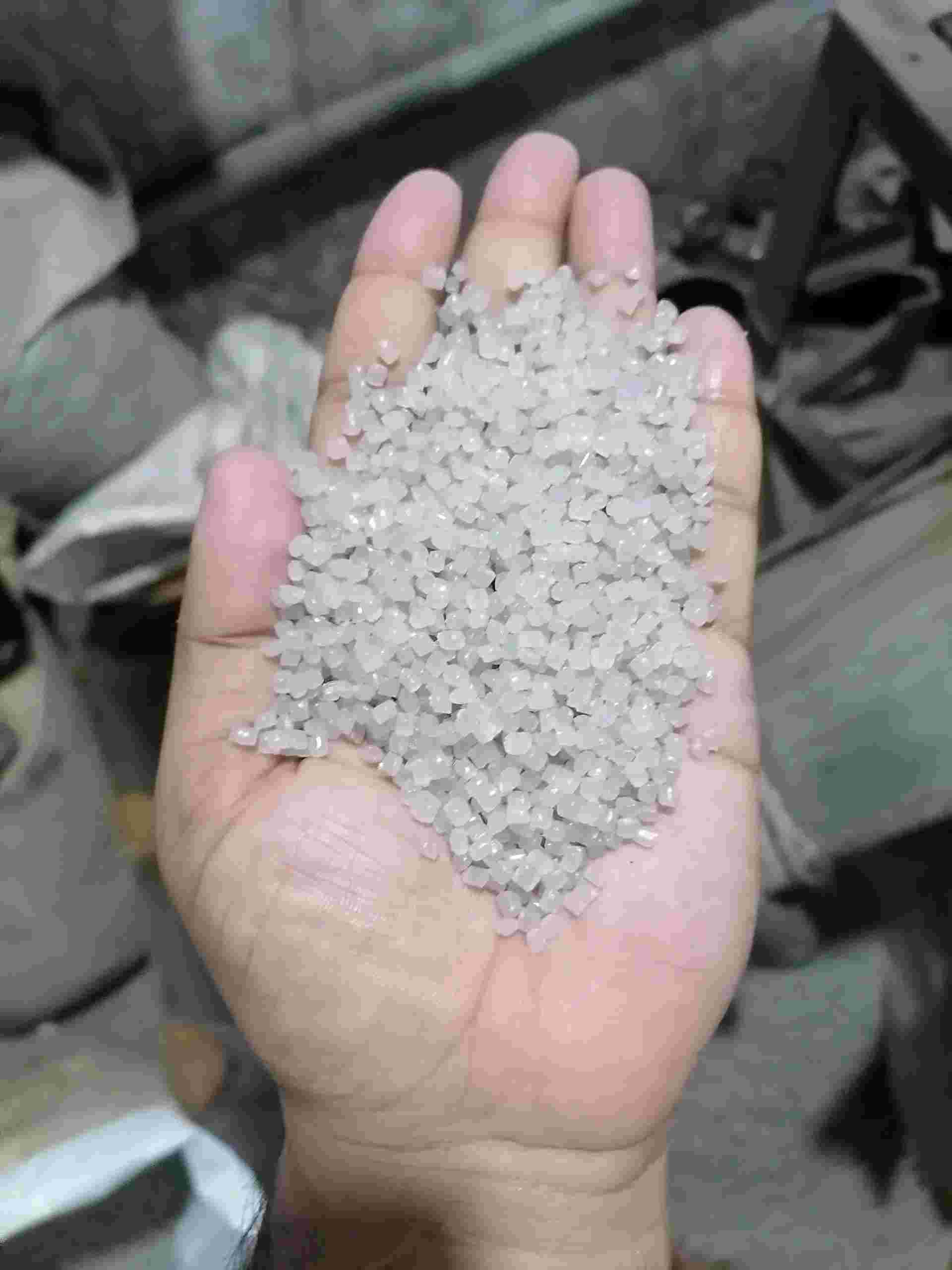 NATURAL PP GRANULE PP Reprocess Granule Injection Molding ulhasnagar maharashtra india Plastic4trade