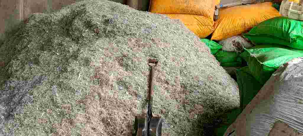 NATURAL PP PP Grinding Injection Molding Mix Scrap anjar gujarat india Plastic4trade