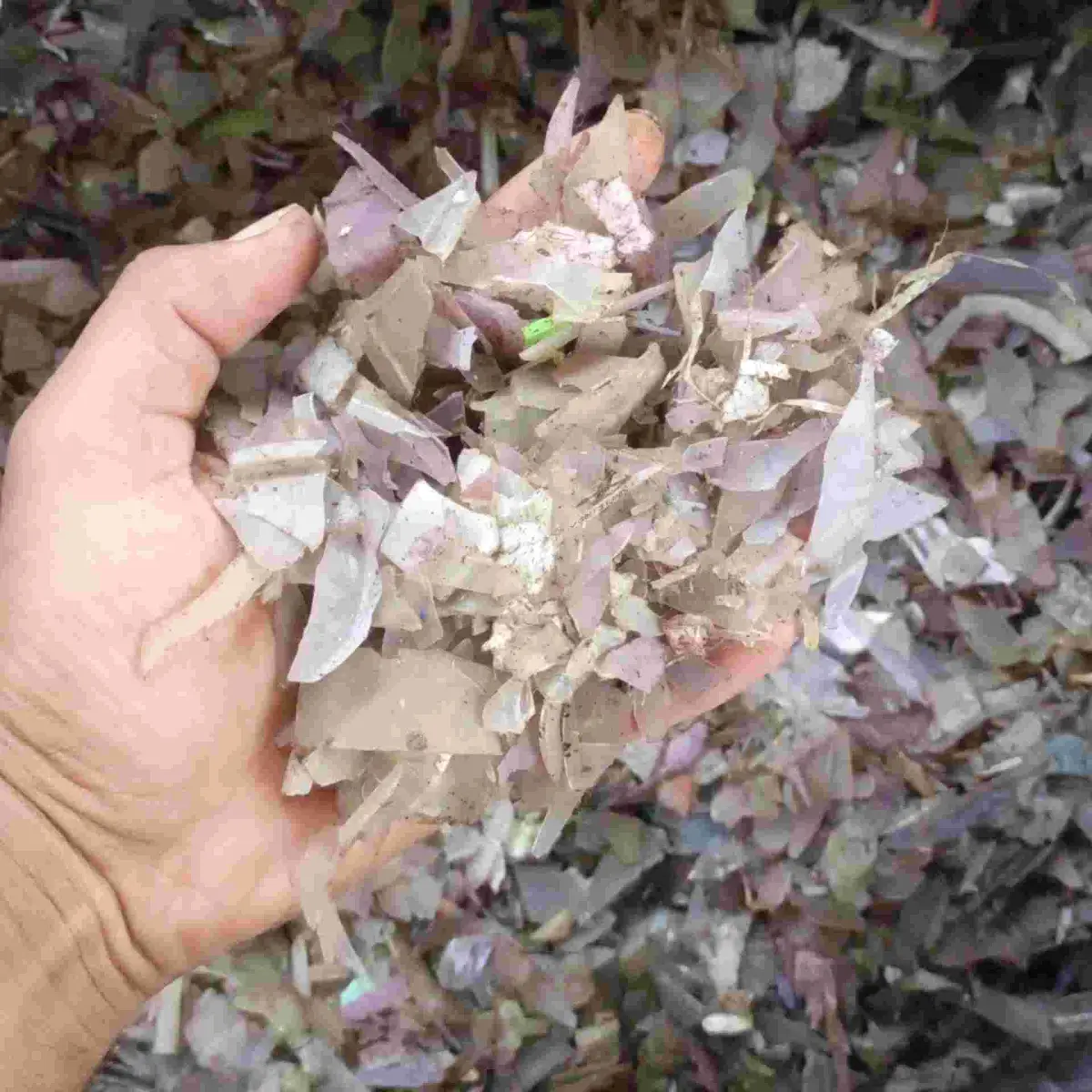 NETURAL PP PP Grinding Mix Scrap chandwasa madhya pradesh india Plastic4trade
