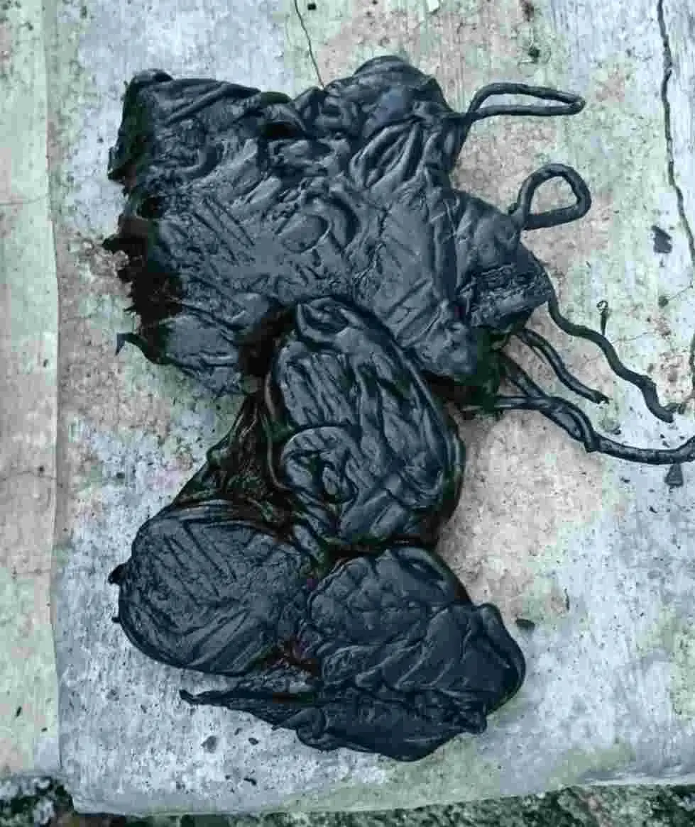 NYLON FACTORY WASTE LUMPS NYLON Plastic4trade