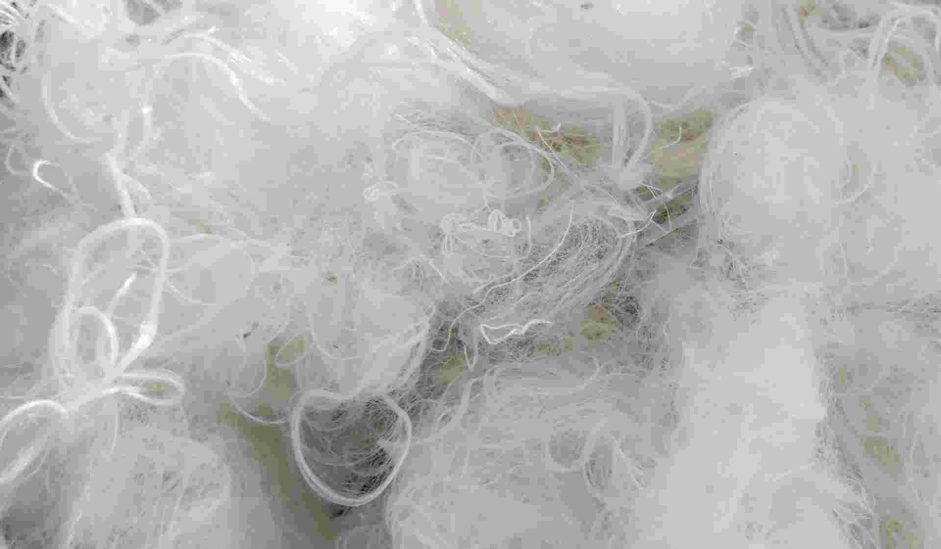 NYLON SCRAP NYLON Scrap Injection Molding burhanpur madhya pradesh india Plastic4trade
