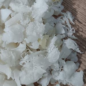 NYLON6 REGRINDS UNFILLED NATURAL COLOUR NYLON Grinding Injection Molding bhiwandi maharashtra india Plastic4trade Plastic4trade