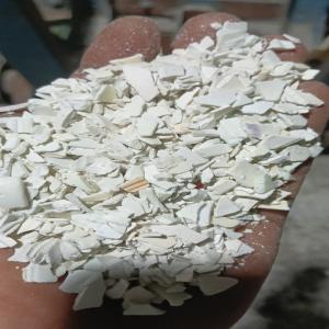 PBT MILKY PVT Grinding Injection Molding bahadurgarh haryana india Plastic4trade