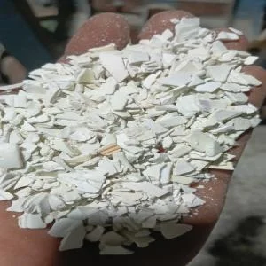 PBT MILKY PVT Grinding Injection Molding bahadurgarh haryana india Plastic4trade