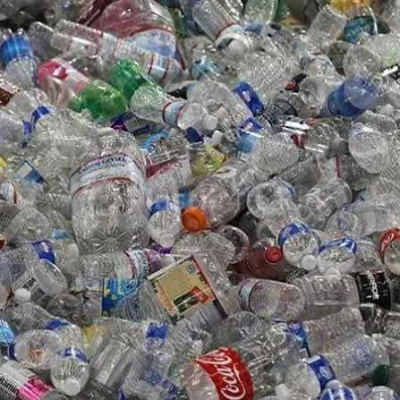 PET BOLTTLE SCRAP PET Scrap Blow new delhi delhi india Plastic4trade