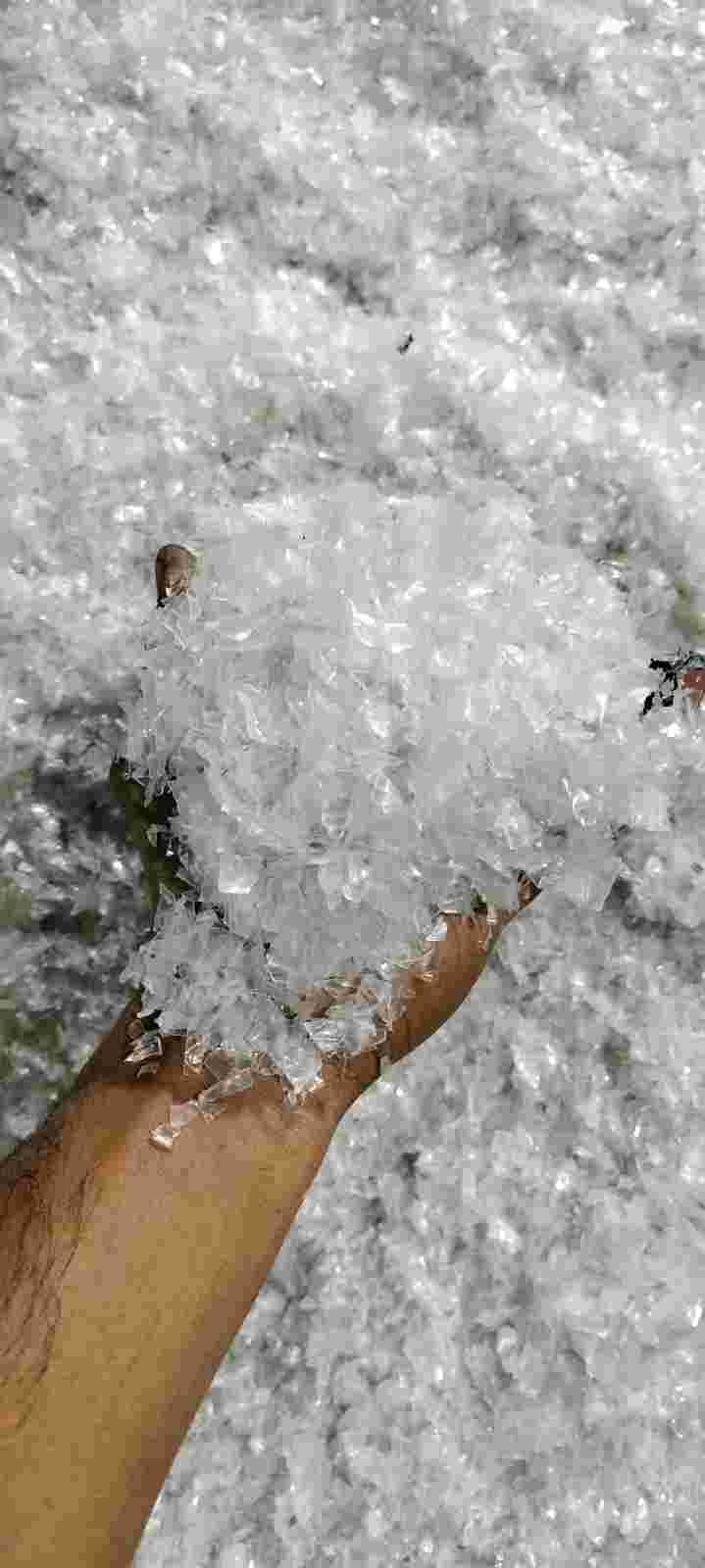 PET BOTTAL FELIX PET Flakes Injection Molding orai uttar pradesh india Plastic4trade