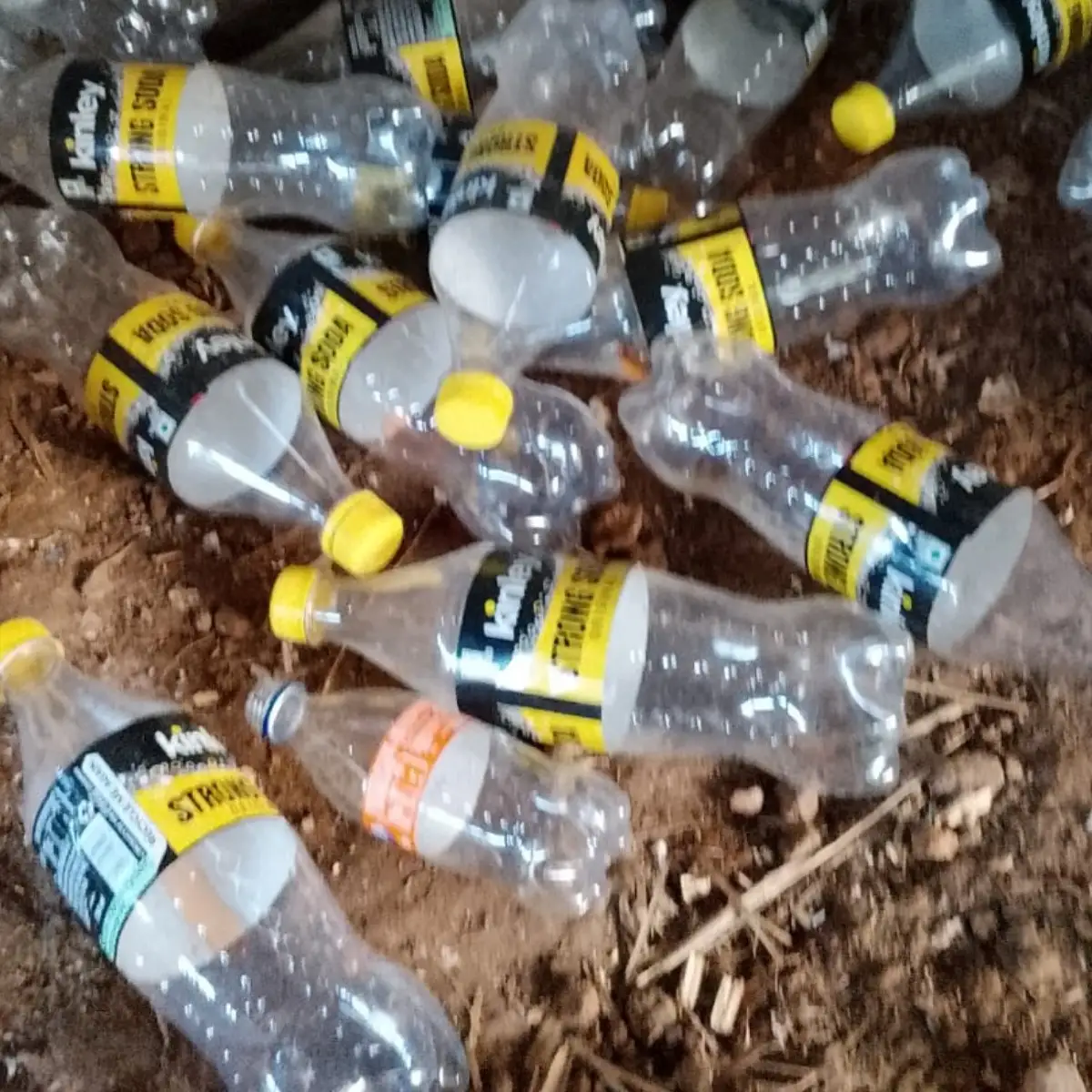 PET BOTTEL  BALES PET Plastic4trade