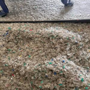 PET BOTTEL FLAKES NATURAL PET Flakes Blow chennai tamil nadu india Plastic4trade Plastic4trade