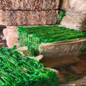 PET BOTTELS BALES GREEN PET Baled Blow alwar rajasthan india Plastic4trade