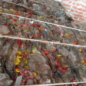 PET BOTTELS BALES MIX PET Baled Blow faizabad uttar pradesh india Plastic4trade