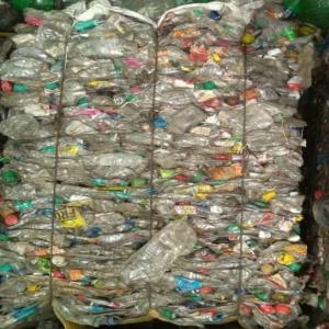 PET BOTTELS BALES NATURAL PET Baled Blow jhalawar rajasthan india Plastic4trade
