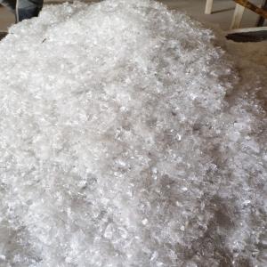 PET BOTTELS FLAKS HOT WASHED PET Flakes Blow gandhinagar gujarat india Plastic4trade Plastic4trade