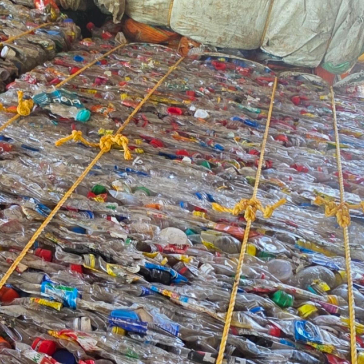PET  BOTTLE BALE PET Scrap Film Grade marampally kerala india Plastic4trade
