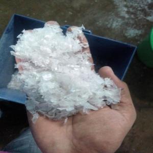 PET BOTTLE GRINDING PET Grinding Blow buldhana maharashtra india Plastic4trade
