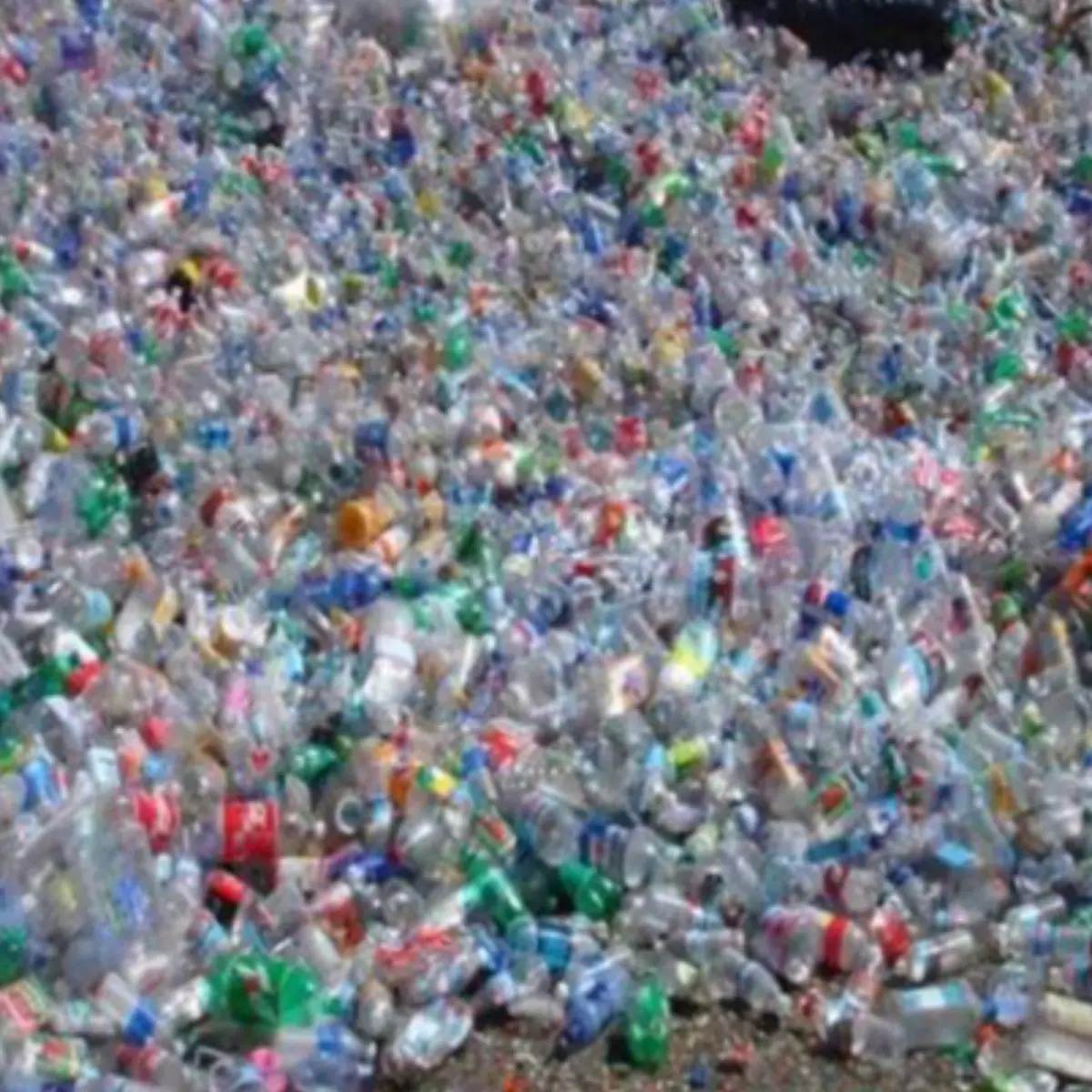PET BOTTLE SCRAP PET Plastic4trade