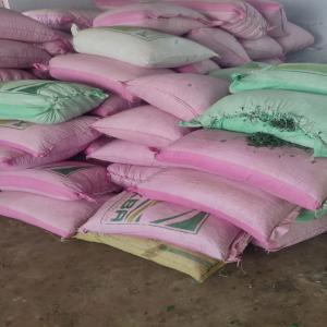 PET CHIPS PET Flakes Blow bharatpur rajasthan india Plastic4trade