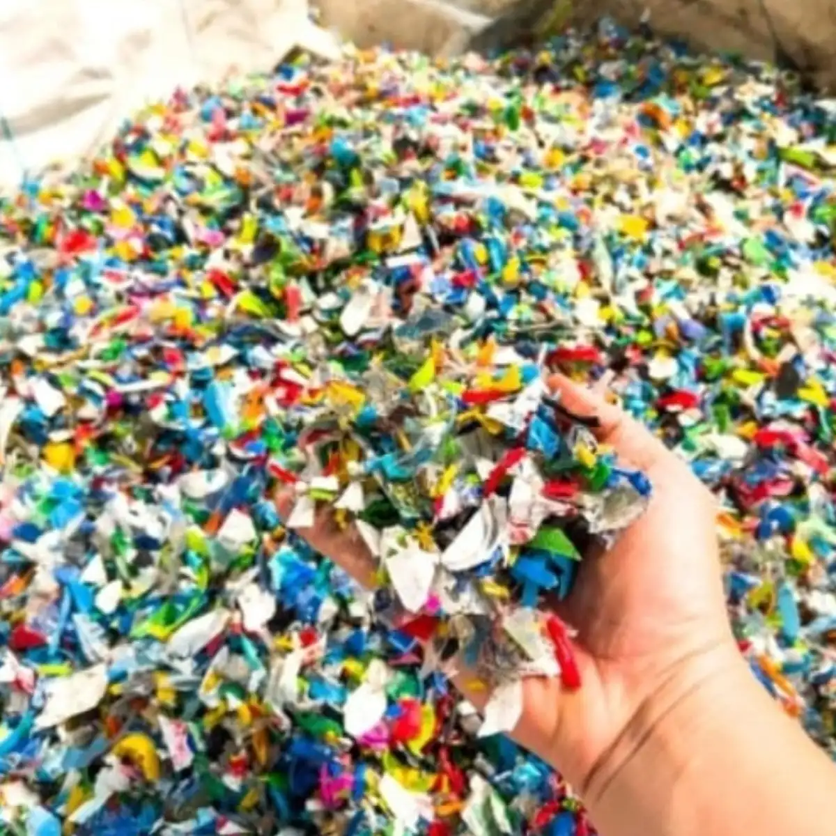 PET FALKES PET Flakes Blow ahmedabad gujarat india Plastic4trade