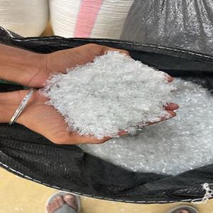 PET FELAKS PET Flakes Blow nayagarh odisha india Plastic4trade