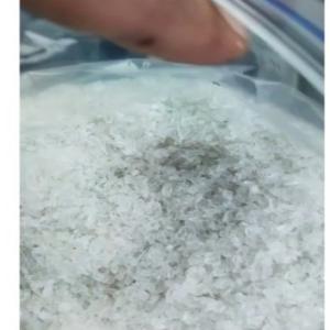 PET FINES GRINDING PET Grinding Blow ahmedabad gujarat india Plastic4trade