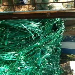 PET GREEN SCRAP PET Scrap Extrusion panipat haryana india Plastic4trade